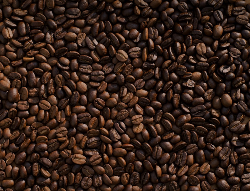 Harbor Oak house blend coffee beans