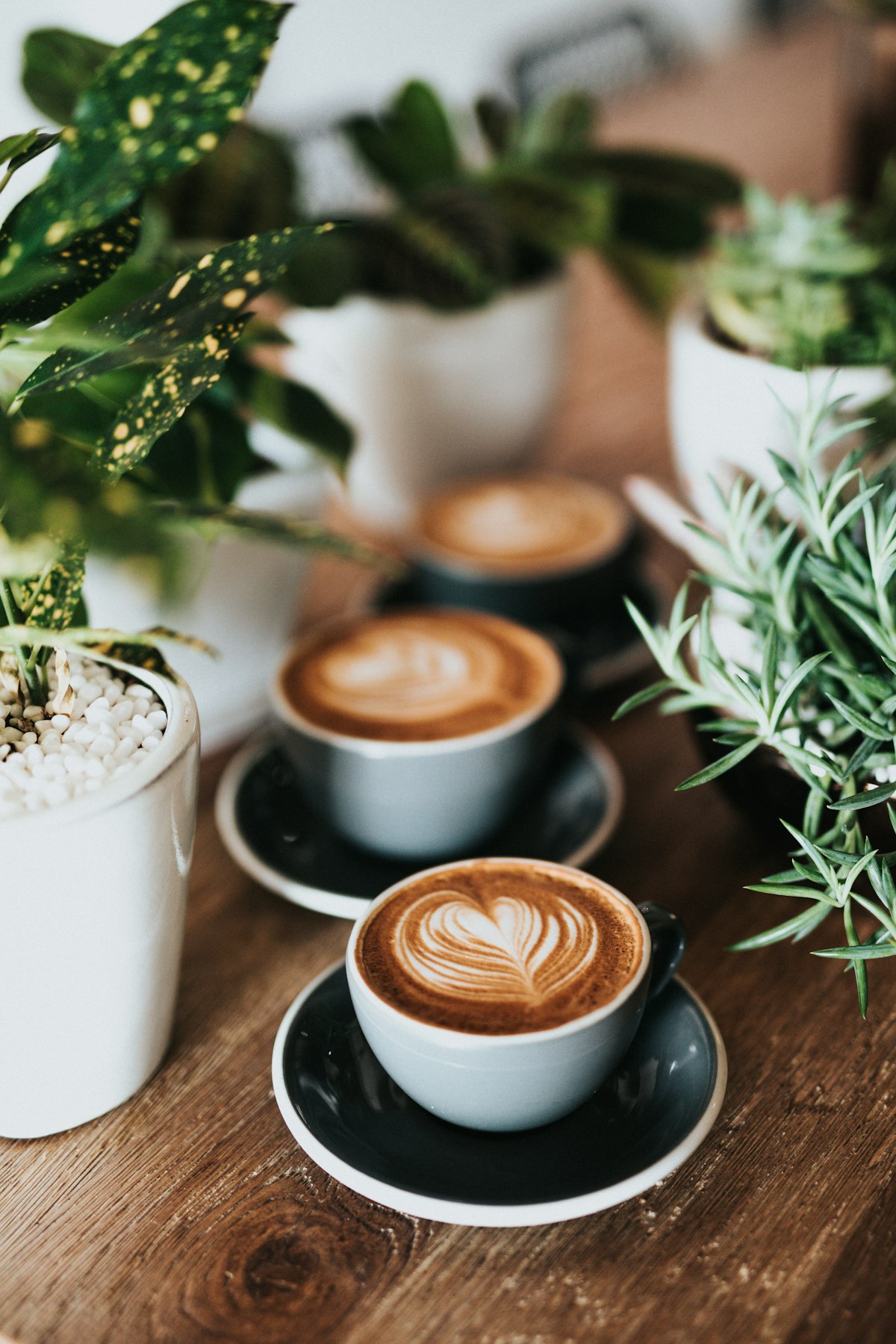 Latte art being poured at Harbor Oak